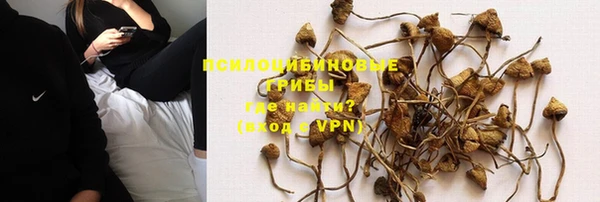 каннабис Алзамай