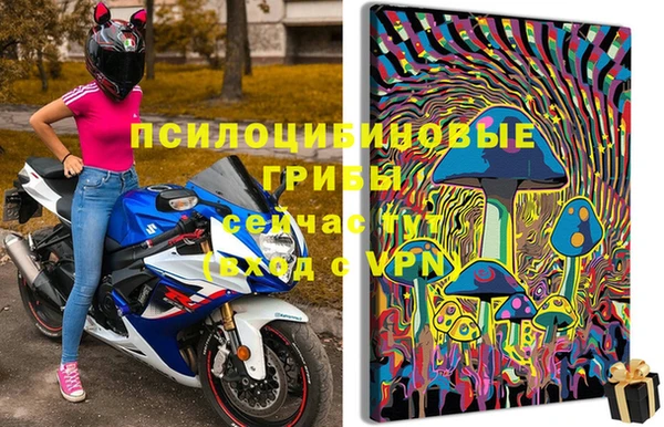 ALPHA PVP Алексин