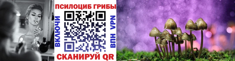 Псилоцибиновые грибы прущие грибы  Мышкин 